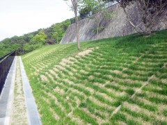 白水峡墓地4区33号墓所整備工事（兵庫県）