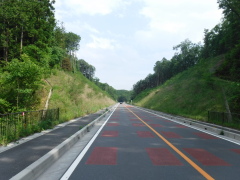 道路改築工事(取付道路その1)一般国道299号（埼玉県）