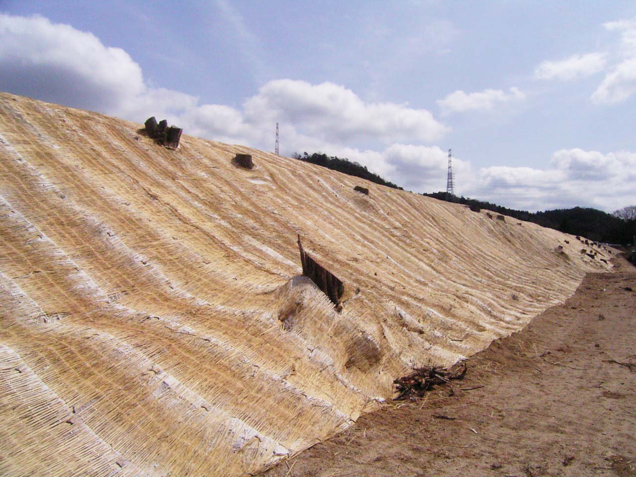 侵食しやすい砂質土での種子散布工、代替工法は？（滋賀県） | 法面緑化面積国内No.1のロンタイ株式会社