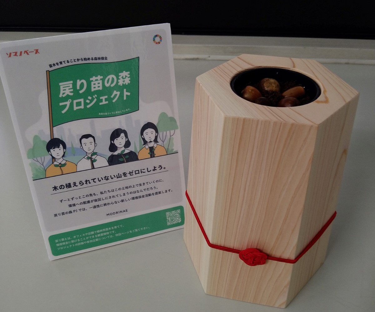 戻り苗の森プロジェクト」でどんぐりを育てています！ | 法面緑化面積